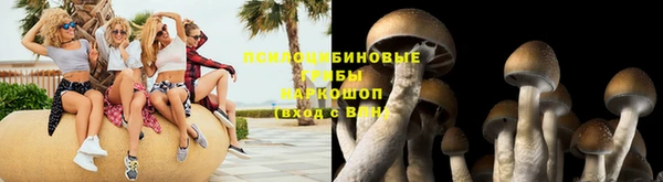СК Канск