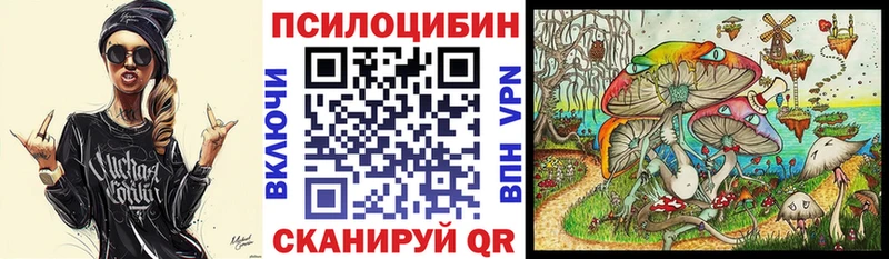 Псилоцибиновые грибы Psilocybe магазин наркотиков Лиски