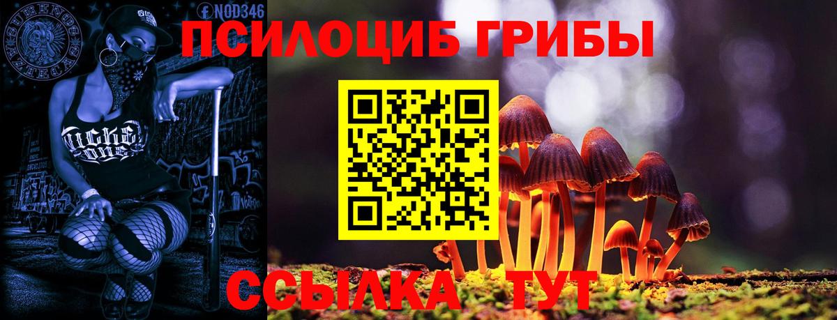 Псилоцибиновые грибы Psilocybe Лиски